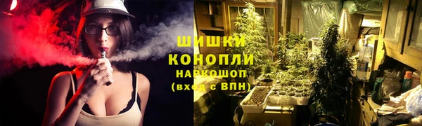 дживик Лабытнанги