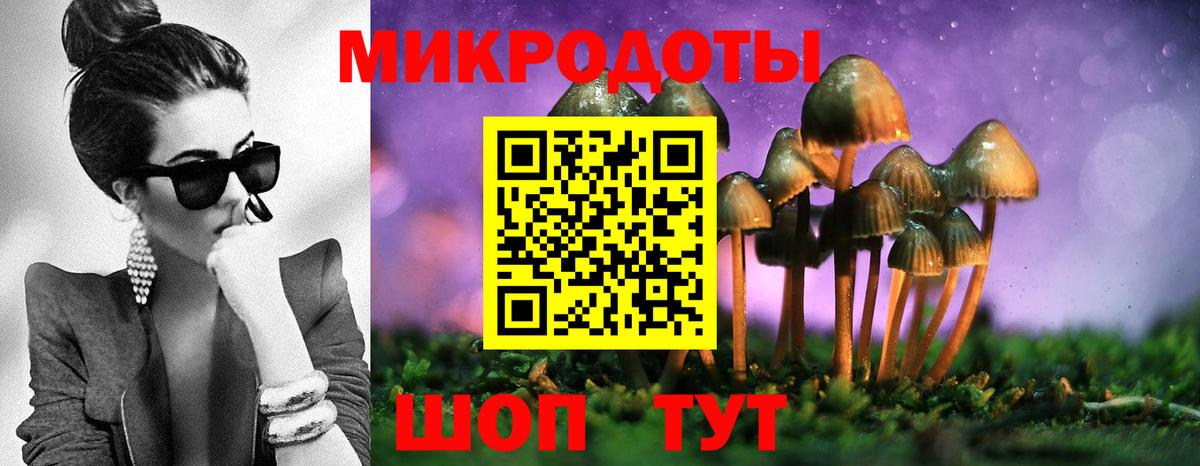 Псилоцибиновые грибы прущие грибы  Галлюциногенные грибы GOLDEN TEACHER  Краснодар 