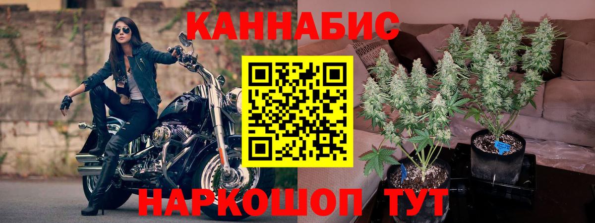 Каннабис Ganja Краснодар