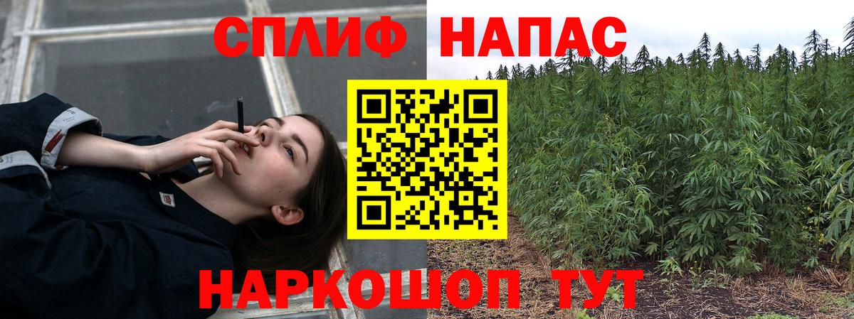 Каннабис индика Краснодар